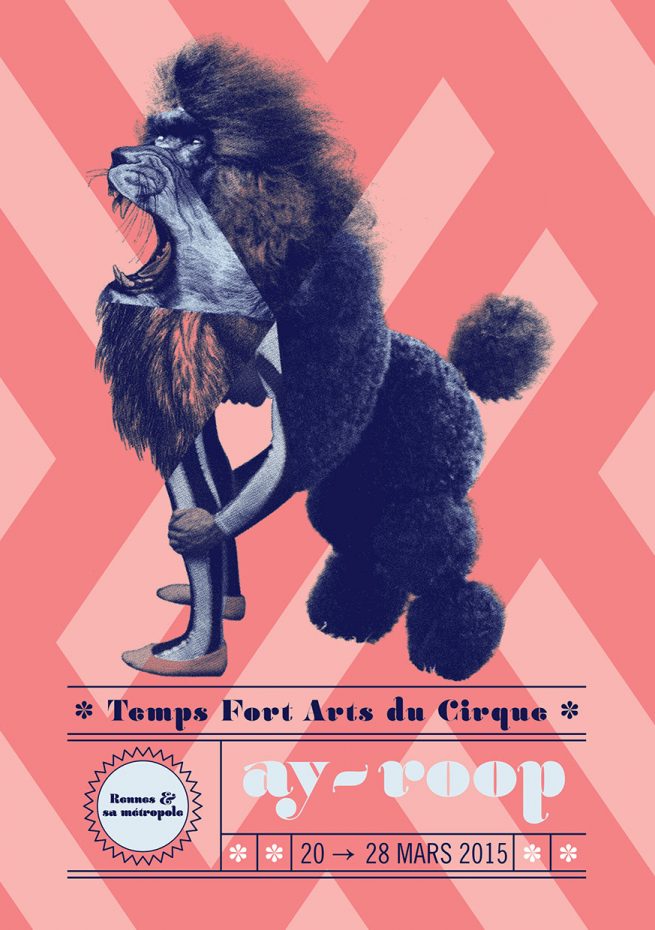 Affiche du festival Ay-roop - 2015