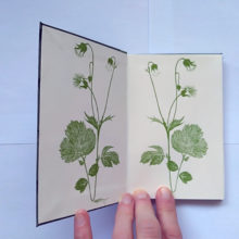 almanach-02 gardes