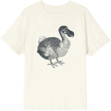 T_SHIRT-dodo-nat