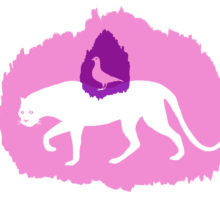 panthererose-pigeon