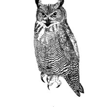 typon-grandduc