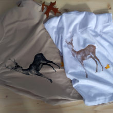 collection-cerf-sansvert