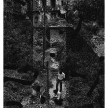 GRAS-MAIGRE-LIGNE-VERTE