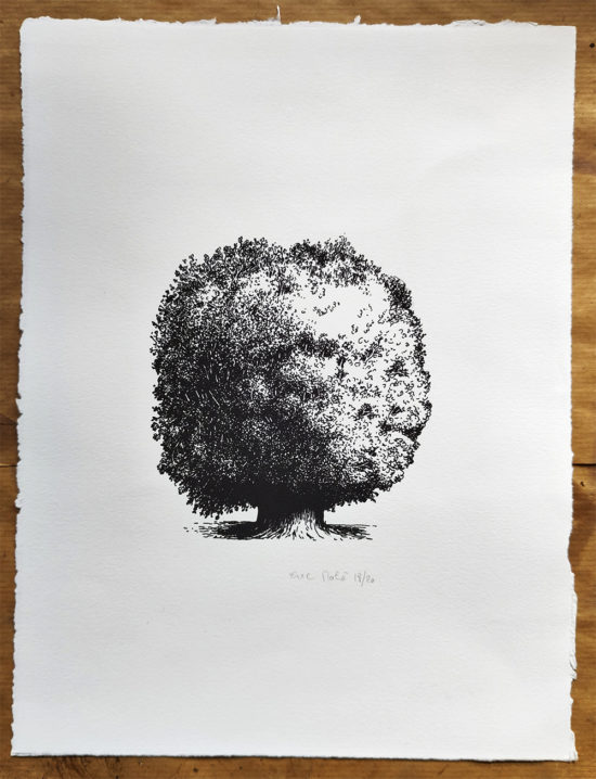 Arbre, sérigraphie, dessin